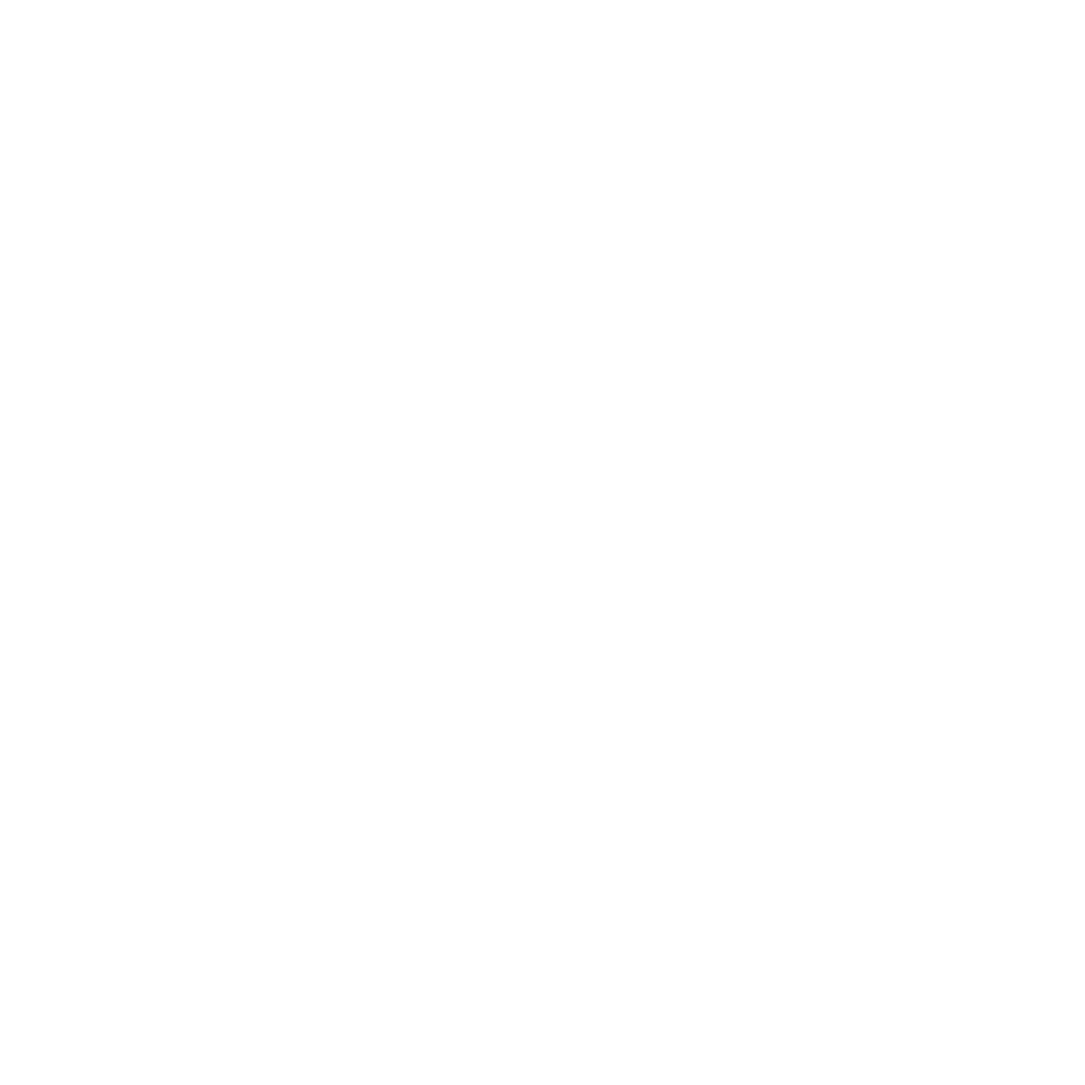 Logo salma (4)